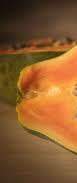 Figure Figure 1: Papaya Fruits with Seeds