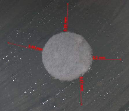Figure 8: 15-LOX inhibition by methanolic extract of papayaseeds with IC 50 of 47?g e) Antibacterial ScreeningThe results of the antibacterial sensitivity of the methanolic extract of C. papaya seed by disc diffusion method are depicted for different time intervals of 12, 24 and 48 h in the graph for Escherichia coli (Fig.9) and Pseudomonas Vulgaris (Fig.10). The results reveal that the extract has antimicrobial activity against these pathogenic organisms studied. The antibacterial