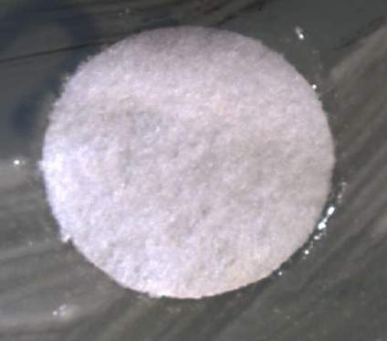 Figure 11: Inhibition capacity of methanolic extracts for Escherichiacoli at concentration of 1 ug (c); 2.5 ug (d); 5 ug (e); and 10 ug (f) in comparison to control used methanol (a) and drug, streptomycin (b)