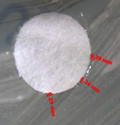 Vitro Antioxidant, Anti-Inflammatory and Anti-Microbial Activity of Carica Papaya Seeds