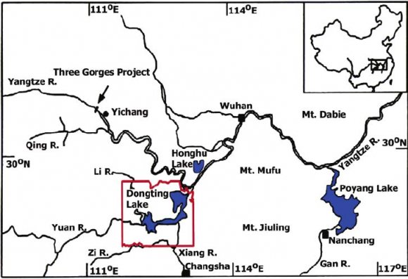 Figure 9: Location of the Jiuduansha wetland comprised of the Shanghai (LI et al., 2011).