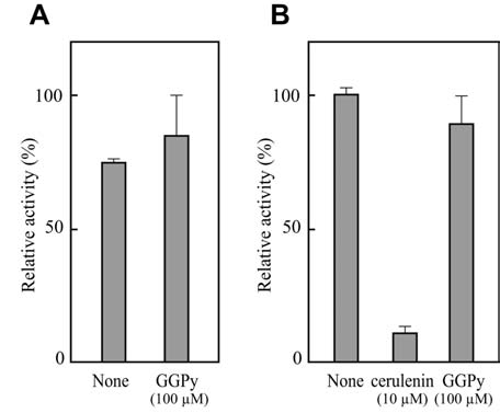 Fig. 6: Peptide mass fingerprinting of the protein band 1 (A) and the protein band 2 (B) in MALDI-TOF-MAS, and the summary of identified GGPy-binding proteins (C).