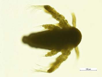 Figure 7: Sample chromatogram