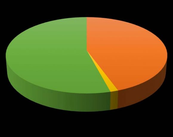 Figure 1: Distribution of married residents (N=76)
