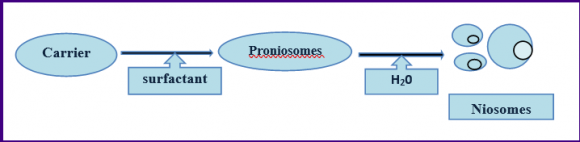 a) Structure of ProniosomesProniosomes are dry, free-flowing solid colloidal carrier particles that are coated with surfactants and can be converted to niosomal dispersion by hydrating instantly before use on agitation in hot aqueous media within few minutes. Proniosomes can entrap both hydrophilic and lipophilic drugs (figure-1). Proniosomal gels are usually present in white semisolid gel texture or transparent and translucent. Proniosomal gels are physically stable throughout storage and transport.7 