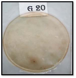 polysaccharide film (Ejaz et al.2018). The results obtained in the present study were in accordance with Ejaz et al. (2018) in bio nanocomposite gelatin film with clove oil and zinc oxide nano rods and Benavides et al. (2012) in alginate films with oregano oil.Water vapour permeability measures the diffusion of water molecules through the cross section of the film and can give an estimation of its barrier property. To prevent dehydration of foods, films used as packaging or coating must control the moisture transport from the product to the environment. Hence WVP of edible films should as low as possible(Fabra et al.2008). Generally WVP depends on the diffusivity and solubility of water molecules in the film matrix (Wang et al. 2013).