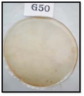 Evaluation of Active Edible Films with Nano Emulsions of Essential Oils for Minced Chicken Meat Measuring the absorbancy values for Antioxidant activity Product Stored in the film