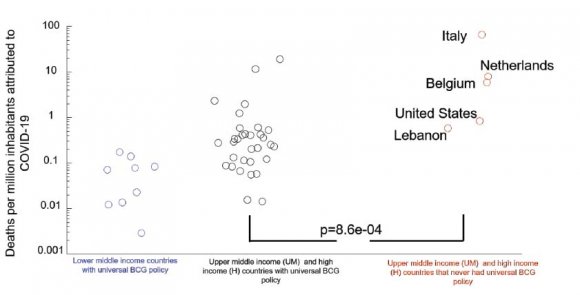 Figure 1: Numbers of COVID 19 cases in countries that never implemented a universal BCG vaccination policy(Correlation between Universal BCG Vaccination Policy and Reduced Morbidity and Mortality for COVID-19: An Epidemiological Study | MedRxiv, n.d.-b).