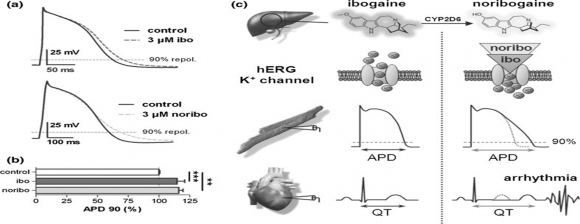 Fig.1: In-situ polymerization method for preparation of Nanocomposites25 