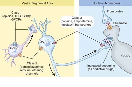 Macromolecular Science-polymer Reviews-J MACROMOL SCI-POLYM REV, 2000. 40: p. 69-83. 130. Kean, T., S. Roth, and M. Thanou, Trimethylated chitosans as non-viral gene delivery vectors: cytotoxicity and transfection efficiency. Journal of controlled release: official journal of the Controlled Release Society, 2005. 103(3): p. 643-653. 131. Sandri, G., et al., Montmorillonite-chitosan-silver sulfadiazine nanocomposites for topical treatment of chronic skin lesions: in vitro biocompatibility, antibacterial efficacy and gap closure cell motility properties. Carbohydrate polymers, 2014. 102: p. 970-977. 132. Das, S. and A.B. Baker, Biomaterials and Nanotherapeutics for Enhancing Skin Wound Healing. Frontiers in bioengineering and biotechnology, 2016. 4: p. 82-82. 133. Mori, T., et al., Effects of chitin and its derivatives on the proliferation and cytokine production of fibroblasts in vitro. Biomaterials, 1997. 18(13): p. 947-951. 134. Hong, J.P., et al., The Effect of Continuous Release of Recombinant Human Epidermal Growth Factor (rh-EGF) in Chitosan Film on Full Thickness Excisional Porcine Wounds. Annals of Plastic Surgery, 2008. 61(4): p. 457-462. 135. Ignatova, M., et al., Electrospun non-woven nanofibrous hybrid mats based on chitosan and PLA for wound-dressing applications. Macromolecular bioscience, 2009. 9(1): p. 102-111.
