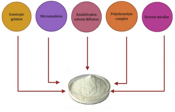 Fig. (3): Different methods of Chitosan nanoparticles synthesis.