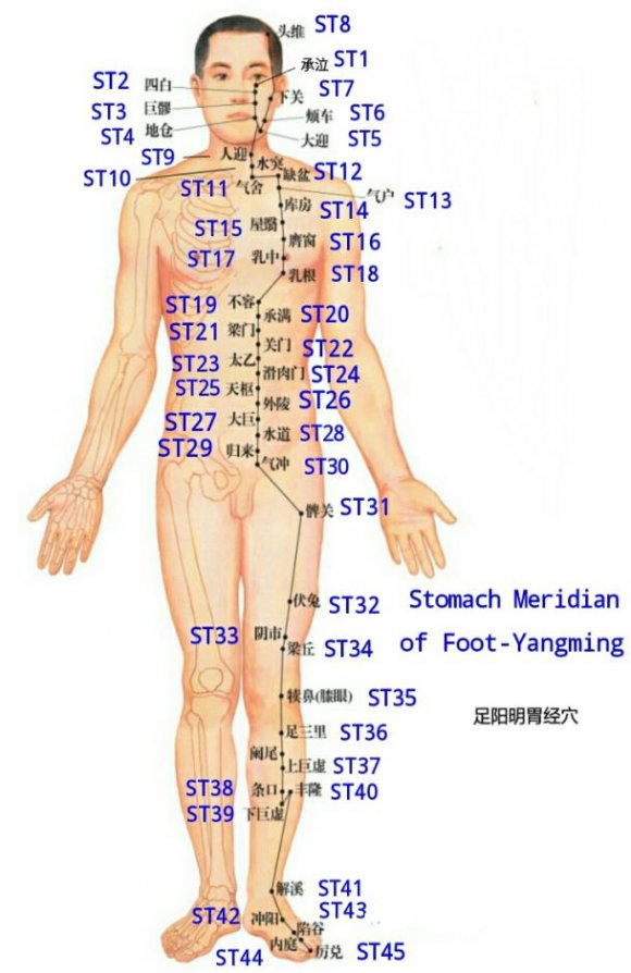 Figure 8: Acupoints on Large Intestine Meridian of Hand-Yangming