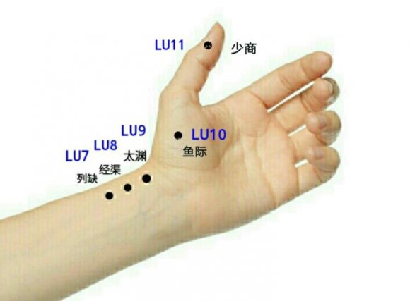 Figure 9: Acupoints on Heart Meridian of Hand-Shaoyin 6. Massaging the acupoint HT5 on the Heart Meridianof Hand-Shaoyin (Figures3 and 9) can simultaneously increase the blood flowing from the coronary artery into the myocardium and from the myocardium into the vein and reduce the electricity of the heart and small intestine, it can treat diseases caused by insufficient blood flowing from the coronary artery into the myocardium and from the myocardium into the vein and excessive electricity of the heart and small intestine. Similarly, it is inappropriate for the opposite situation and should be prohibited.