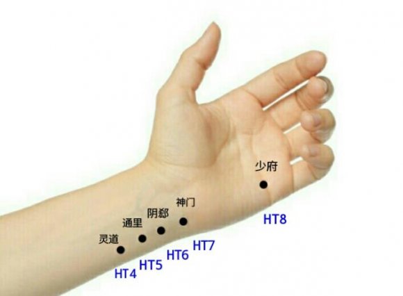 Figure 13: Acupoints on Stomach Meridian of Foot-Yangming