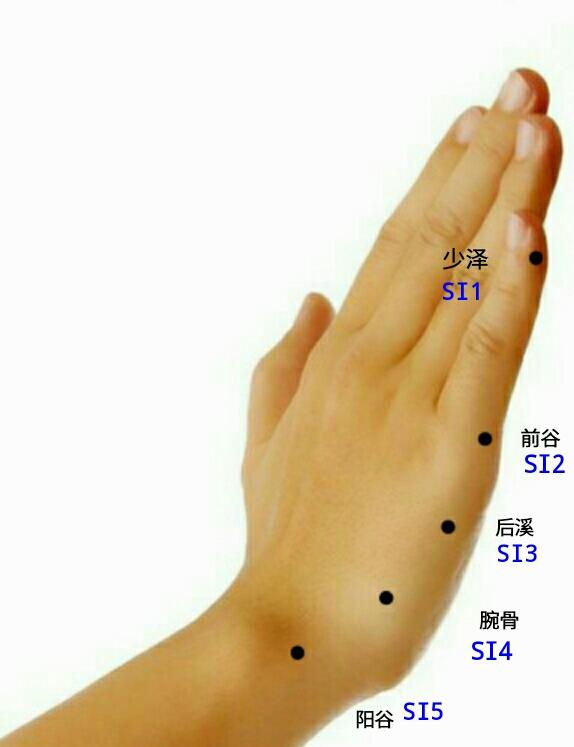 Figure 15: Acupoints on Stomach Meridian of Foot-Yangming 10. Massaging the acupoints ST39, ST34, ST32, ST11, ST5, or ST3 on the Stomach Meridian of Foot-Yangming (Figures 5, 12, 13, 14, and 15) can simultaneously reduce the blood flowing from the artery into the stomach and from the stomach into the vein, increase the electricity of the stomach, and can treat diseases caused by excessive blood flowing from the artery into the stomach and from the stomach into the vein and insufficient electricity of the stomach. Similarly, it is not suitable for the opposite situation and should be prohibited.