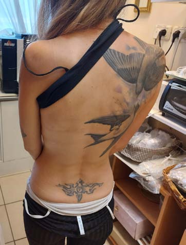 Figure 1: Figura 1 Map of Monte Maíz census radii by National Institute Census divide the town in nine sectors outweighed demographically.