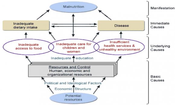 Figure 1.1: Conceptual Framework for Malnutrition adopted and modified from UNICEF (1998)