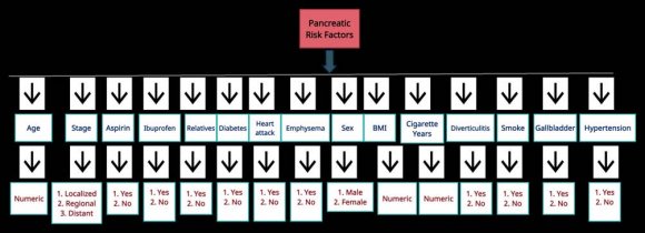 Figure 2: Pancreatic Cancer Data with Relevant Risk Factors