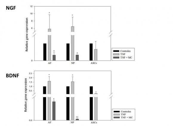 Chapman. (2003). The social behaviour and captive managemnet of Bennett´s wallabies, Macropus rufrogriseus rufrogriseus. Australia: University of Tasmania. 2. Cheney, E. &. (1980). Lithium-chloride.induced adversion in the opossum (Didelphis virginiana). Psysiological Psychology, 383-385. Operating Conditioning in Bennett Ualabies (Macropus Rufogriseus) Ex Situ for Drugs Administration by