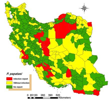 Figure 2: Distribution of Ph. papatasi infection to Leishmania parasites in Iran