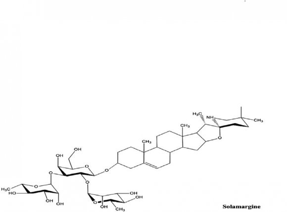 Effect of Monoclonal Antibodies Conjugation with Gallium-Containing ...