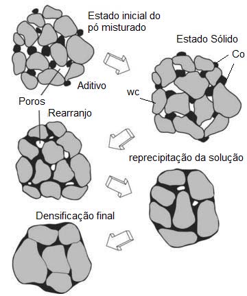 Fig. 3 (a): Estrutura do aparelho respiratório humano e; (b). Penetração nas vias aéreas de material particulado em suspensão no ar (Colacioppo, 2020).