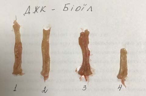 Figure 2: Effect of PUFA concentrate "BIOIL" on rate of wound healing in rats with simulated full-surface stencil wounds, n=6Notes:1. *-statistically significant differences comparing to control group, ?<0,05; 2. ** -statistically significant differences comparing to reference agent, ?<0,05; 3. CG-control group; 4. Methyluracil -reference agent (RA); 5. "BIOIL" -PUFAs concentrate "BIOIL".