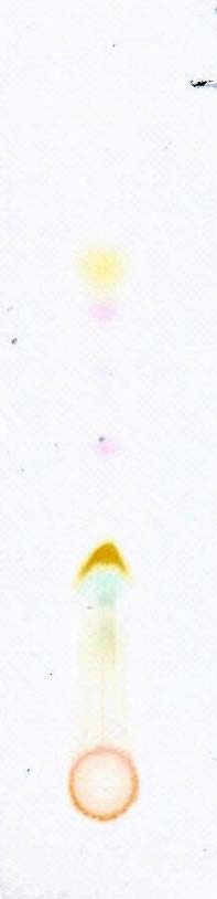 TLC plates high lighting the spots in GMAK GMAK In present study an important Unani formulation i.e. Majoon Aarad Khurma has been modified into granules using Stevia rebaudiana as a sweetener. Thus, keeping in view the above consideration, physicochemical standardization of the test drugs GMAK was carried out and subjected to Physico-Chemical evaluation under the following parameters:(1) Organoleptic properties such as the appearance, colour, smell, and taste (2) Alcohol soluble matter and Water soluble matter (3) Successive extractive values (4) pH value (5) Bulk density and Tapped density (6) Ash value (7) Volatile oil (8) Estimation of total Alkaloids (9) Resin(10) Reducing and non-Reducing sugars (11) Crude fibers (12) Thin layer chromatography (TLC) was also conducted for identification of compounds.