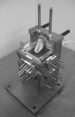 Fig.2A-C (A)The fixator. The exterior of the fixator was made of carbon steel; the interior's epoxy resin was formed to the contours of the composite femur. (B) A composite femur was fixed completely with surrounding epoxy resin and rods inserted from the exterior of the metal fixator through the epoxy resin. (C) Measurement of stem subsidence. A digital displacement gauge (DG) was applied to the attachment screwed into the proximal lateral side of the stem to measure the amount of displacement.