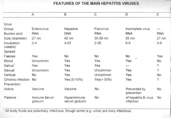 a) Bed rest It was continued till the signs and symptoms disappeared and liver function tests returned towards normal value. b) Diet A nutritious diet containing about 3000 Kcal daily was given. If not tolerated due to anorexia or nausea a light diet supplemented by fruits, fruit drinks and glucose was usually acceptable. A good protein intake was encouraged. In severe cases parenteral nutrition was given. c) Intensive care All the critical cases were managed in intensive care units with monitoring of 1. Haemodynamic status 2. Metabolic status 3. Coagulation profile 4. Renal and CNS function.