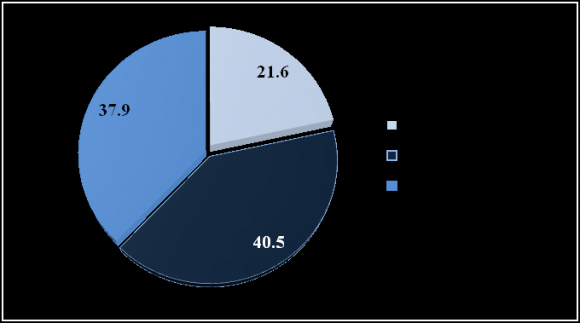 Figure 2 : Diabetes risk