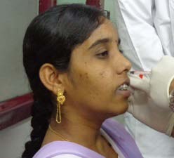 Figure 1 : Nasal cavity geometry used by Inthavong et al.(2006)