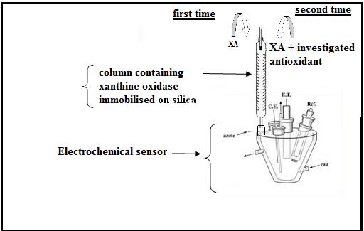 Figure 3 : Scanning Electron Micrograph of Cu-CPE.