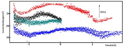 Figure 7 : Evolution of the H 2 O 2 Reduction Current Density with Concentration of Garlic.