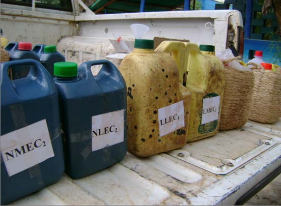 Figure 1 : Pictures of containers during wrapping at Yabello Pastoral and Dryland Agriculture Research Center, and arranged experimental containers for sample collection at Surupa kebeleIt was identified that camel milk was pooled together by producers of the respective villages (Olla) of Borana zone to be availed for domestic market and/or Moyale town to be consumed by the dwellers of Ethiopian Moyale or crossed the border for Kenyan Moyale residents. Mode of transportation was that milk with plastic containers was solely loaded on the back of the vehicles for human transportation. There is also one Isuzu truck which transports 2500 liter milk (up to 250 Jerry cans with a volume of 10 liter) daily. The milk reaches to its destination in the afternoon between 1:00pm -2:00pm. The following pictures depict the plastic jerry cans with collected milk that has been loading for transporting to Moyale town and backing the empty containers to Surupa PA.