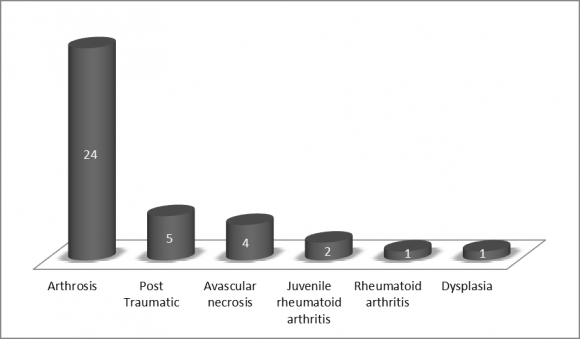 Figure 2 : Change in the Postel Merle dÁubigné from preoperative to follow-up in DMC-group compared with SPECgroup