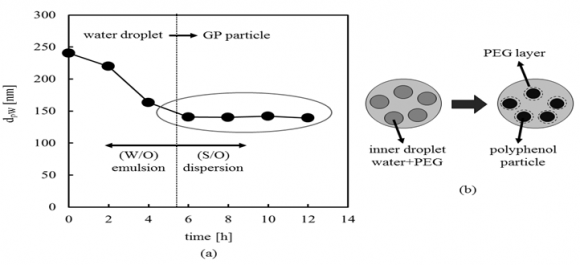 Figure 12 : Dependence of water Droplet Diameters on surfactant concentration and Dependence of GP Powder Particle Diameters on water Droplet Diameters