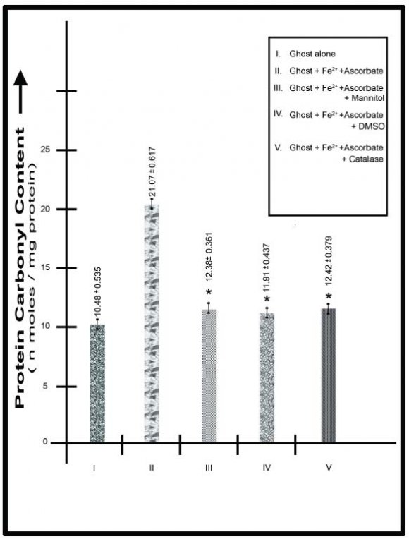 ). Enhanced IgG binding to human aged red cells as seen 1 Volume XIV Issue VII Version I fragmentation or any change in protein thiol content (