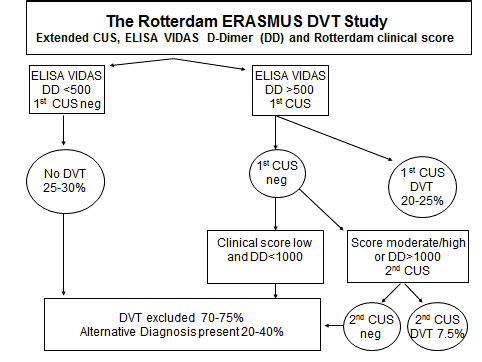 : 1. Which DVT patient has a clear indication for longterm compression therapy to prevent PTS after the initial anticoagulant treatment in the acute phase of DVT at time point 6 months post-DVT? 2. Is 3 months post-DVT the appropriate points during DUS follow-up to determine candidates who are at risk to develop PTS? 3. It is unknown what should be done with these patients after 2 years. Is continuing compression therapy after 2 years effective in the prevention of PTS?