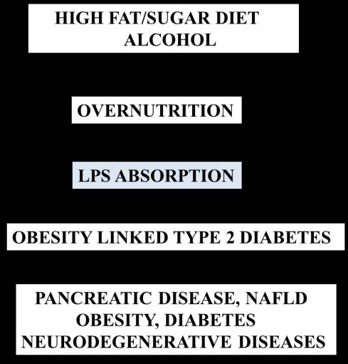 diseases: Alzheimer's disease, coronary artery disease and type 2 diabetes. Health; 4: 1448-1456. 6. De la Monte S.M. and Wands J.R., (2008):Alzheimer's disease is Type 3 diabetes-