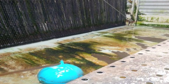 Figure 2 : The biocide effect of monochloramine towards Legionella and HPC