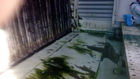 Photograph 1 : Visual inspection of the collecting basin -September 2014