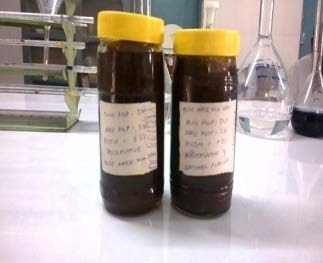 Evaluation and Preparation of Apple and Olive Fruit Blended Jam
