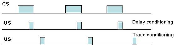 Figure 2 : Hemlock Wrist Device Used to Remove Harmful Habits Modules: RF Transmitter and receiver Resistance: 5 pieces of 330 ohms, 1 piece of 220kohms, 4 pieces of 4.7kohms, 4 pieces of 10kohms Chemical Capacitor: 4 pieces of 3.3 micro farad, 1 piece of 47 micro farad, 1 piece of 220 micro farad Lens Condenser: 2 pieces of 0.1 farad Diode: 4 pieces of 41481n, 1 piece of 4001n Light Diode: 8 pieces Transistor: 4 pieces of 237bc IC: 3 pieces of PT2272A-M4 Relay:4 pieces Shocker: 1 piece c) Performance of the DeviceIn behavioral therapy, one of the important causes of anxiety is appearance and mechanism of the device which affects the patient. In designing the new device golden ratio (Phi number) has been used; and results obtained from many scientific and psychological researches show that the most beautiful surfaces and forms from the view point of humans, are those that golden ration has been used in them[4]; and together with the reduction in size and weight for about 5 times, as it is evident in Fig.(2), and with reverse engineering