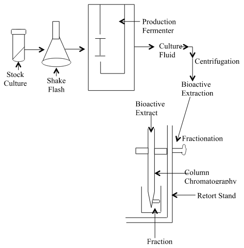 Figure 3 : Showing the chromatogram of the extract