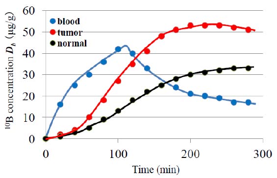 Journals Inc. (US) Determination of the Compound Biological Effectiveness (CBE) Factors based on the ISHIYAMA-IMAHORI Deterministic Parsing Model with the Dynamic PET Technique