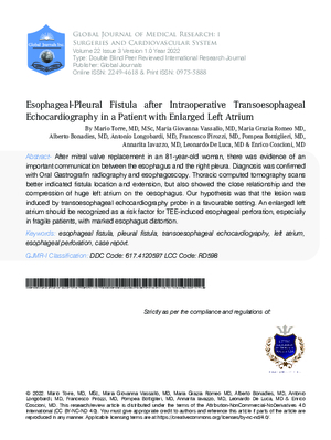 Esophageal-Pleural Fistula after Intraoperative Transoesophageal Echocardiography in A Patient with Enlarged Left Atrium