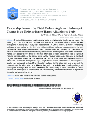 Relationship between the Distal Phalanx Angle and Radiographic Changes in the Navicular Bone of Horses: A Radiological Study