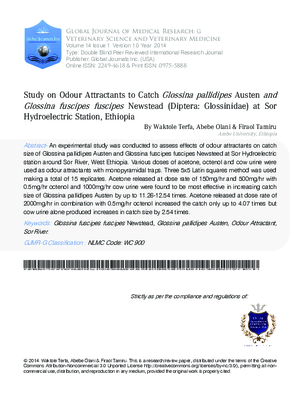 Study on Odour Attractants to Catch Glossina Pallidipes Austen and Glossina Fuscipes Fuscipes Newsteed (Diptera: Glossinidae) At Sor Hydroelectric Station, Ethiopia