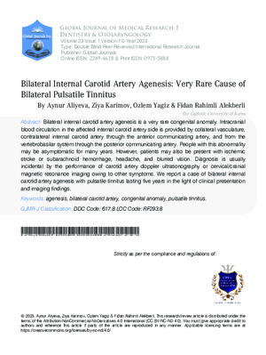 Bilateral Internal Carotid Artery Agenesis : Very Rare Cause of Bilateral Pulsatile Tinnitus